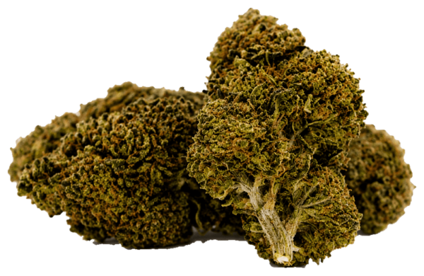 Florida OG