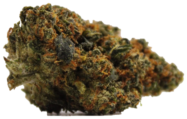 Blueberry