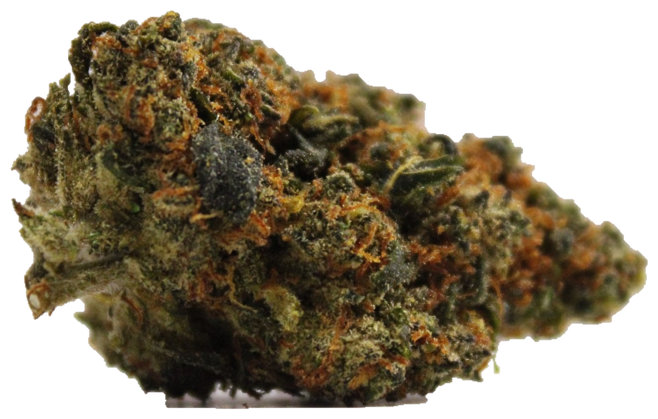 Blueberry